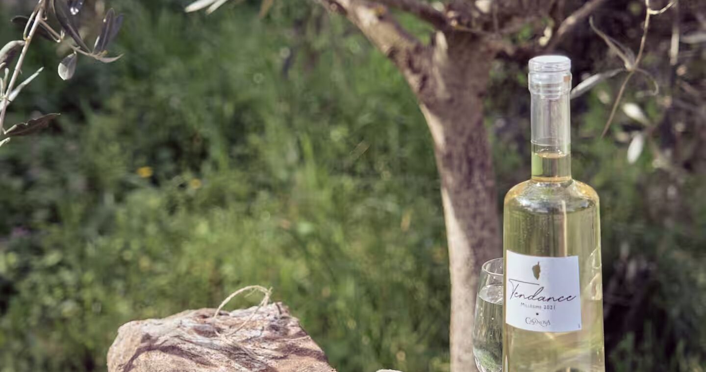 Bienvenue au Gite à la ferme de Moltifao