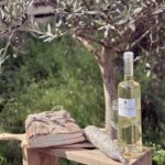 Bienvenue au Gite à la ferme de Moltifao