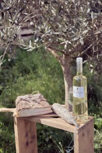 Bienvenue au Gite à la ferme de Moltifao