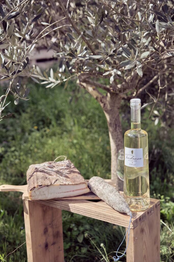 Bienvenue au Gite à la ferme de Moltifao