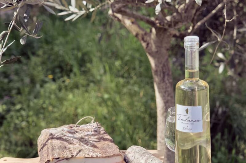 Bienvenue au Gite à la ferme de Moltifao